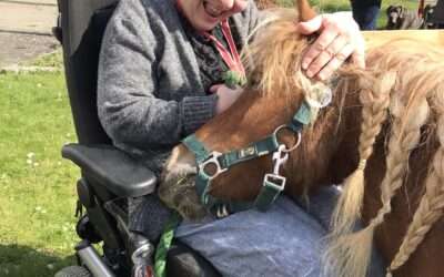 Tiergestützte Therapie