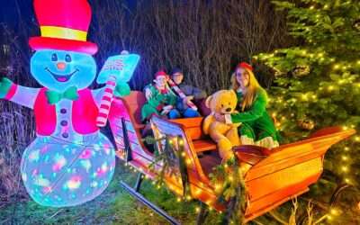 Weihnachtsmarkt im Pflegewohnheim „Haus am Wald“